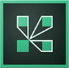 Adobe Connect
